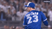 Blue Jays Baseball GIF by MLB