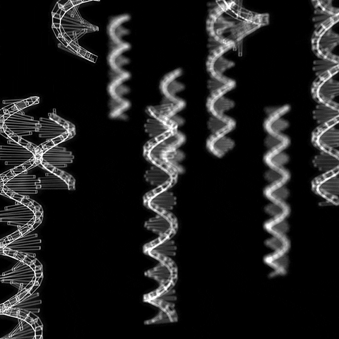 Black And White Loop GIF by xponentialdesign