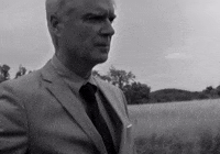 David Byrne GIF by St. Vincent