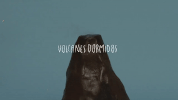 GIF by Sony Music Colombia