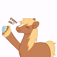 Come On Horse GIF by PonyCycle®