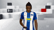 Hertha Bsc Reaction GIF by Bundesliga