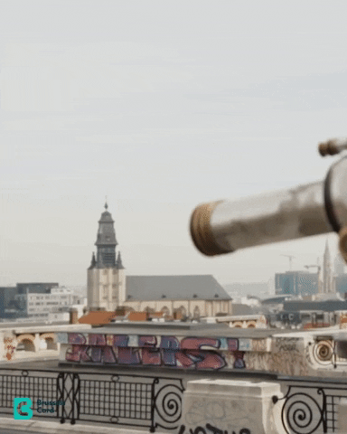 visitbrussels giphygifmaker look view tourism GIF