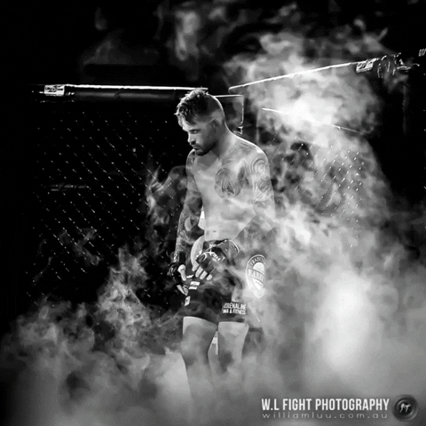 Mma Fighter GIF by wlfightphotography