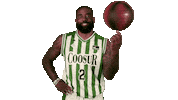 Liga Endesa Spinning Sticker by ACB