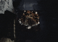 Dance Meow GIF by MEOVV