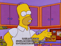 homer simpson episode 20 GIF