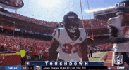 Houston Texans Football GIF by NFL
