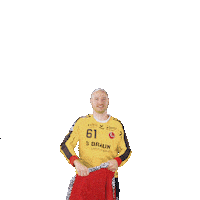 Handball Laszlo Sticker by MT Melsungen