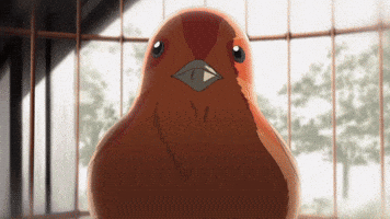 Persona 4 Bird GIF