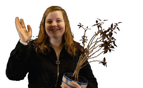 Wave Plant Sticker by KAJ