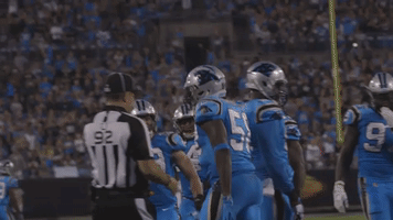 Happy Thomas Davis GIF by Carolina Panthers