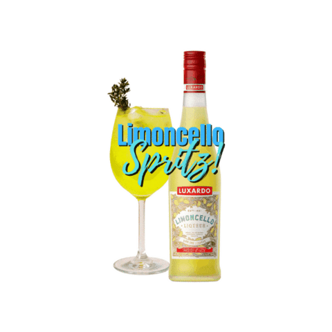 LuxardoUK giphygifmaker Sticker