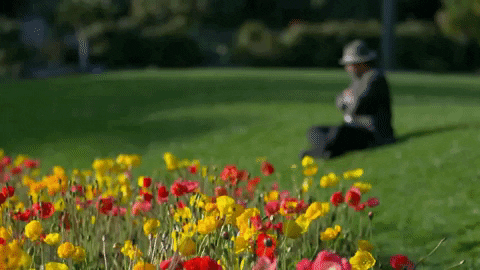 hanihaven giphyupload GIF