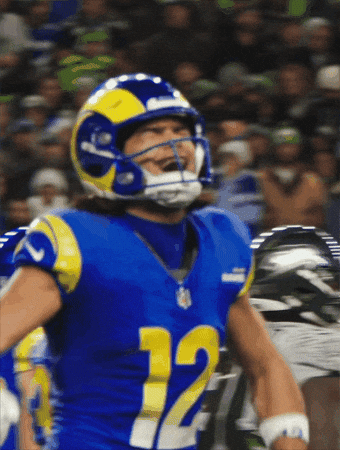 Celebrate Los Angeles Rams GIF