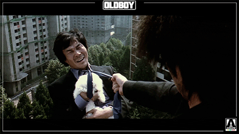 Chan-Wook Park Movie GIF by Arrow Video