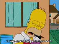 homer simpson episode 13 GIF