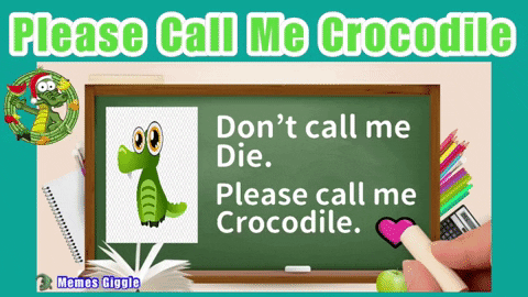 memesgiggle giphyattribution funny crocodile gifs GIF