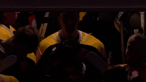 Dragons Rouen GIF by Champions Hockey League