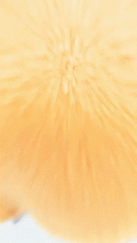 Happy Halloween GIF by Youtooz