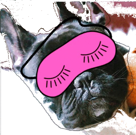 dog grace Sticker by DRC Digital Media