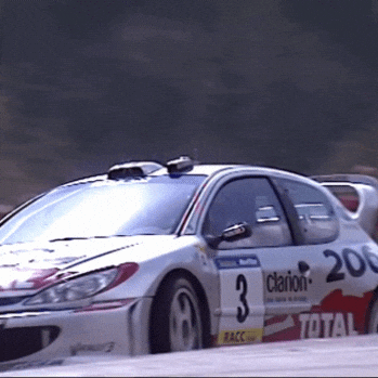 Gilles Panizzi Peugeot GIF
