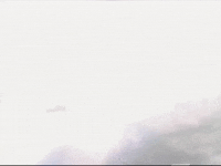 Footage Oaf GIF by jorgemariozuleta