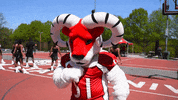 WSSURams su hbcu 1892 gorams GIF