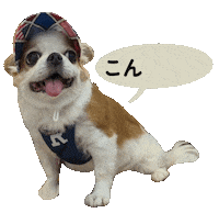 Dogs Santa Sticker