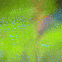 Clash Royale Wizard GIF