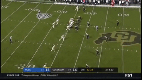 SchaufDS giphygifmaker GIF