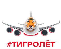 aircraft Sticker by Rossiya Airlines