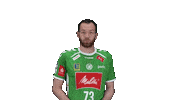 Handball Gwdminden Sticker by GWD Minden Handball-Bundesliga GmbH & Co.KG