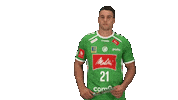 Handball Gwdminden Sticker by GWD Minden Handball-Bundesliga GmbH & Co.KG