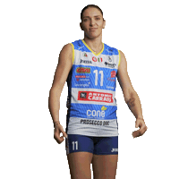 Volleyball Celebrate Sticker by ImocoVolley