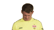 Look Up Vfb Stuttgart Sticker by Bundesliga