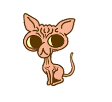 Cat Kitty Sticker by Originals