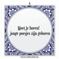 Troost Ontspanning GIF by Tegelspreuken.nl