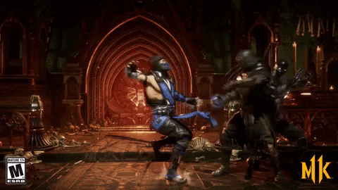 noob saibot mk GIF by Mortal Kombat 11