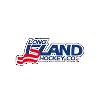 Usa Hockey Sticker by LongIslandHockeyCo