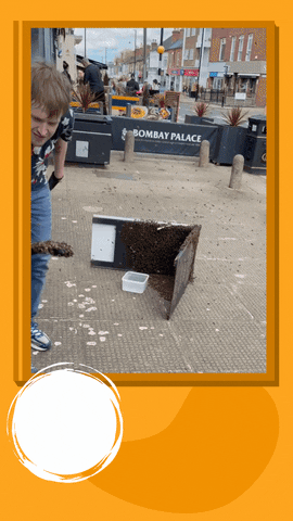 queerdisrupt giphyupload GIF