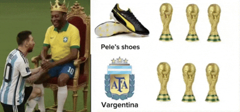 World Cup Argentina GIF
