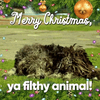 Merry Christmas, Ya Filthy Animal!