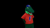 oh boy albert gator GIF by Florida Gators