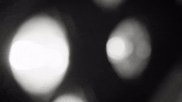 Rock Concert GIF by Ghost Hounds