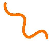 fabianwolfram orange line branding fancy Sticker