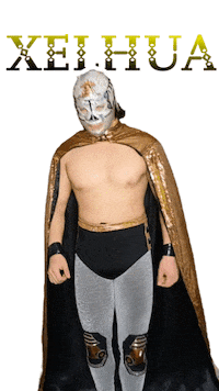 Lucha Libre Wwe Sticker by FilmmakerLife