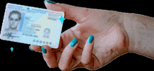 MB-ALL mball identity card dhw controle id controle GIF