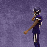 Football Wesleyan GIF by KWC Panthers