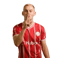 Republic Of Ireland Football Sticker by Bristol City FC